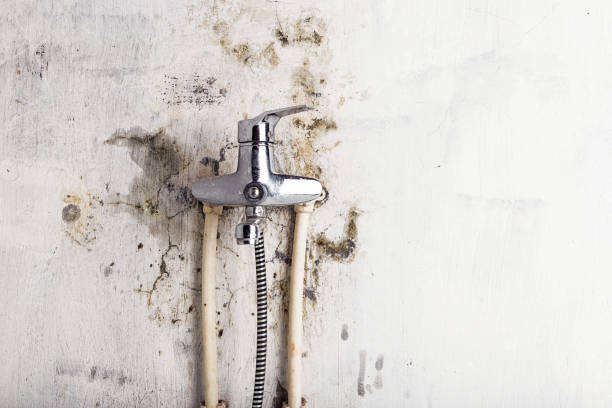 Best Preventive Mold Services in Richville, OH