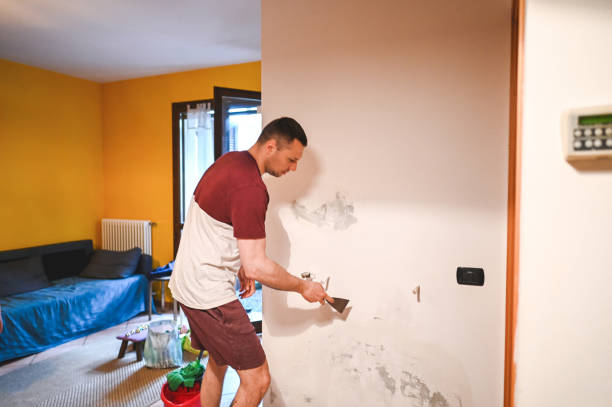 Best Mold Testing and Inspection Services in Richville, OH